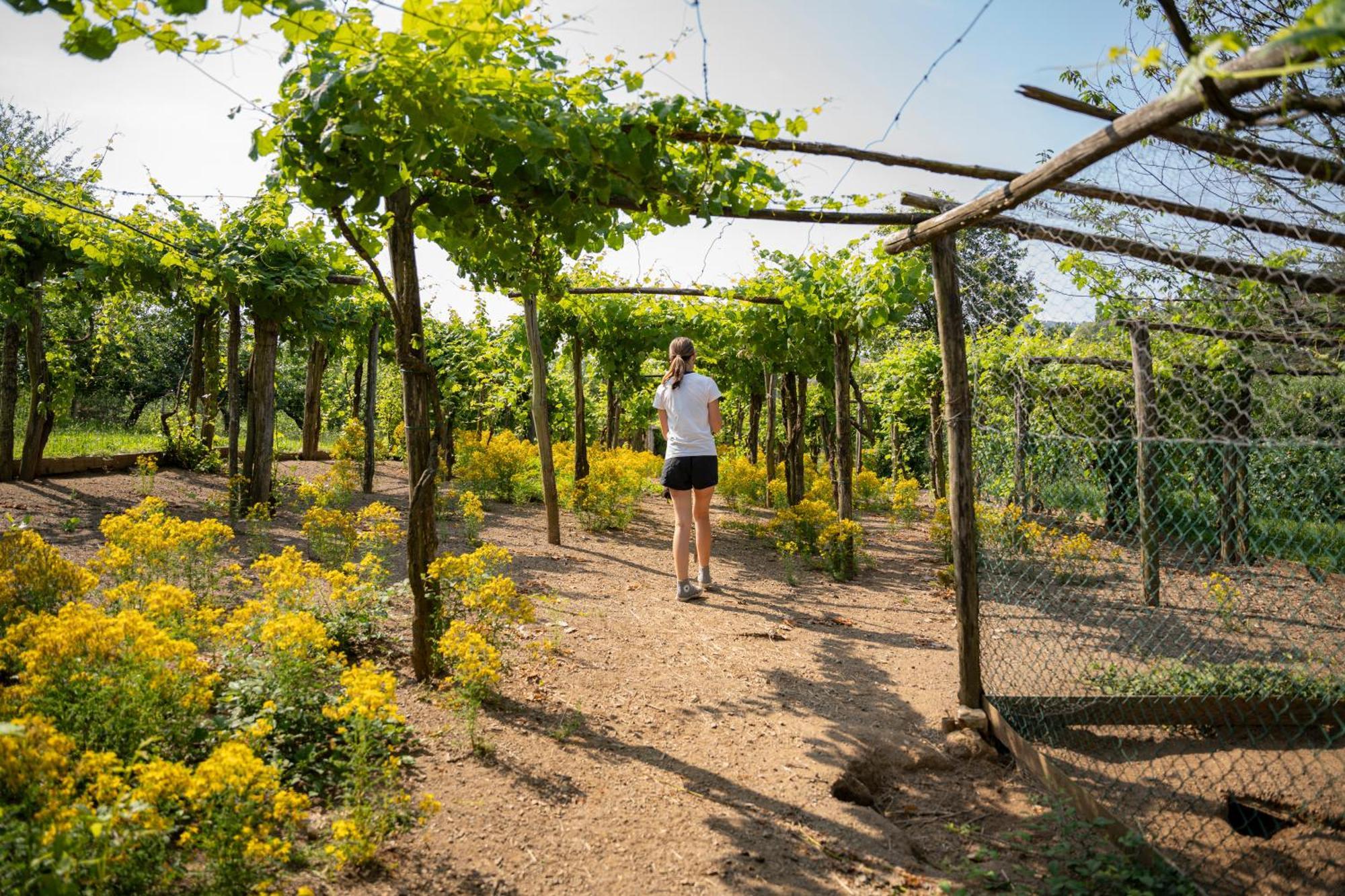 Agriturismo Ca Du Chittu Carro Eksteriør billede