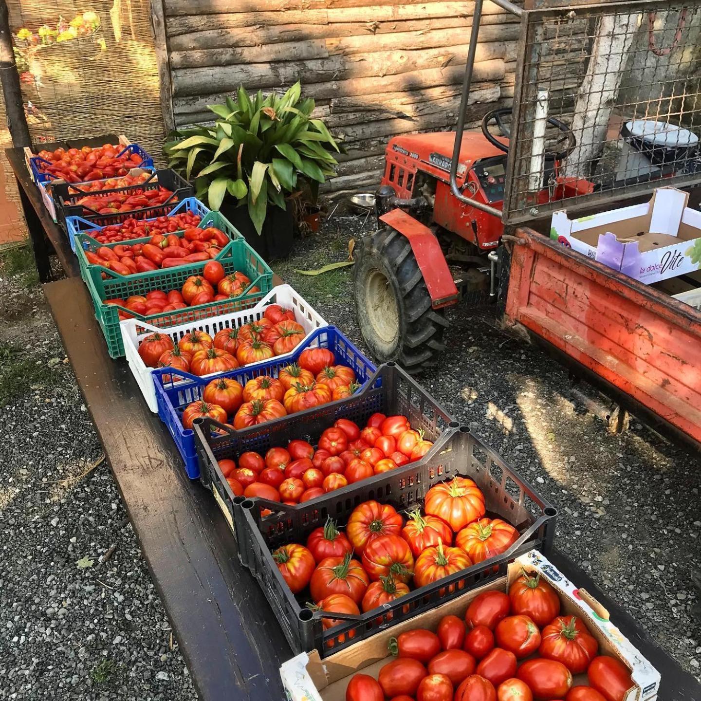 Agriturismo Ca Du Chittu Carro Eksteriør billede